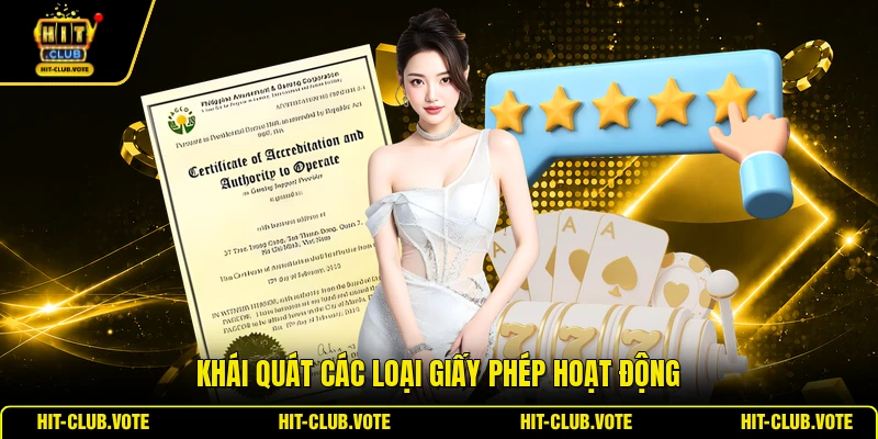 Khái quát các loại giấy phép hoạt động